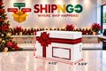 Small Holiday Shipping Box - Red Ribbon